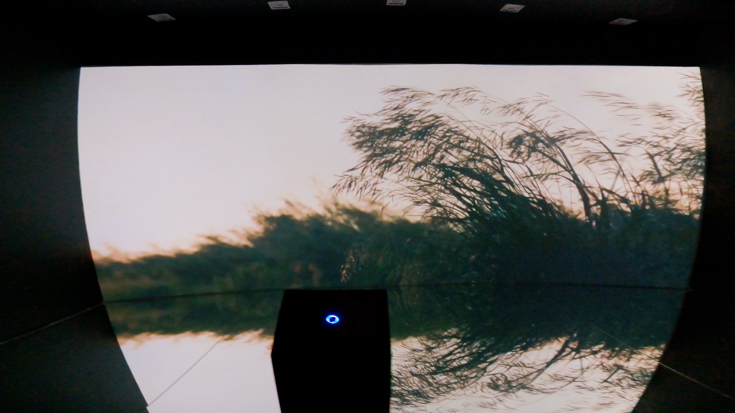 AMY - Magic Room Senses - 4