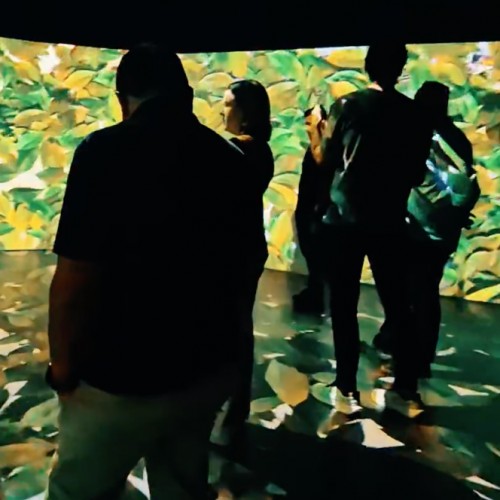 Tecnisa - Immersive Showroom