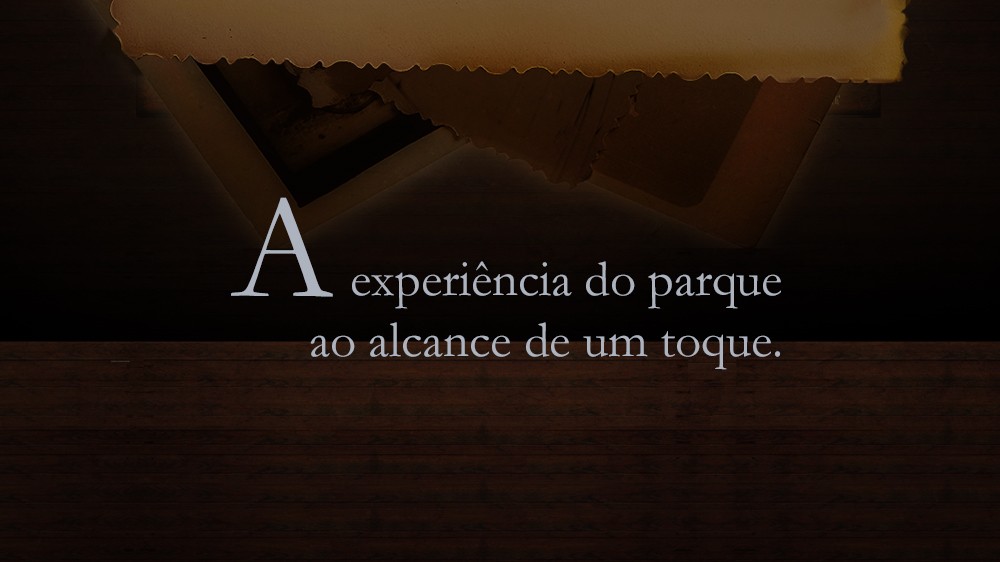  - Harry Potter's Totem - 4